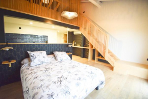 Magnifique duplex vue montagnes LARUN